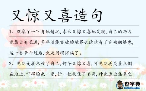 又驚又喜造句