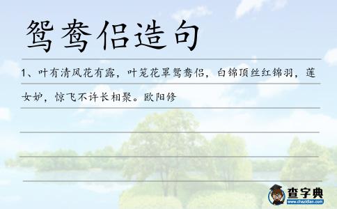 鴛鴦侶造句