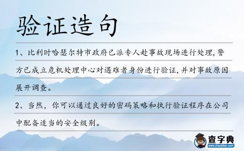 驗證造句