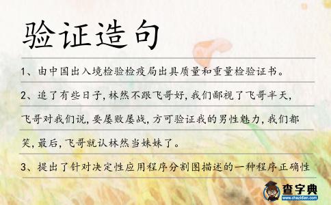 驗證造句