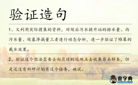 驗證造句