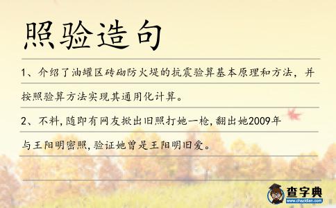 照驗造句
