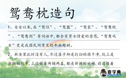 鴛鴦枕造句