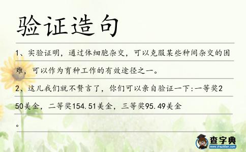 驗證造句