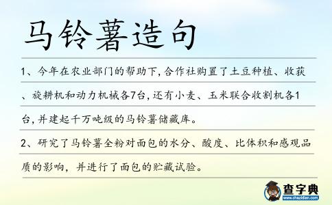 馬鈴薯造句