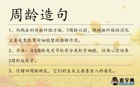 周齡造句