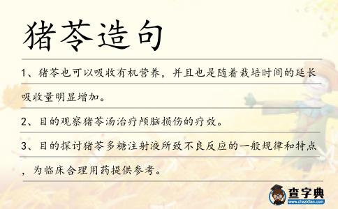 豬苓造句