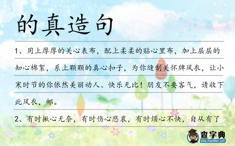 的真造句