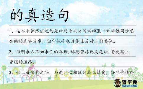 的真造句
