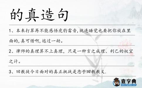 的真造句