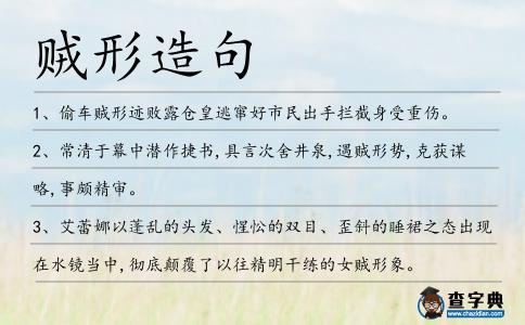 賊形造句