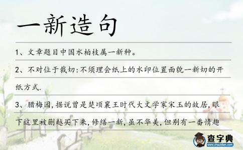 一新造句