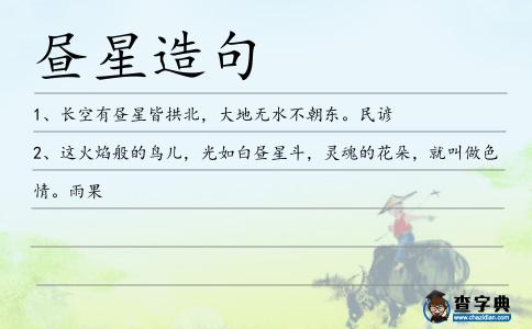 晝星造句