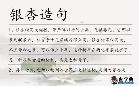 銀杏造句