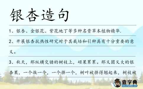銀杏造句