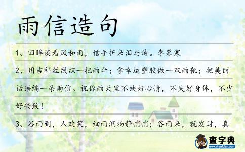 雨信造句