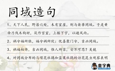 同域造句