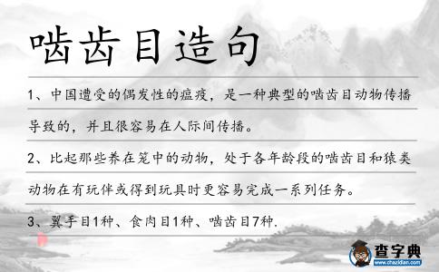 嚙齒目造句
