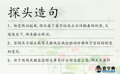 探頭造句