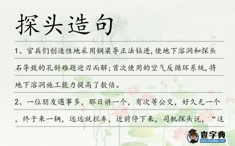 探頭造句
