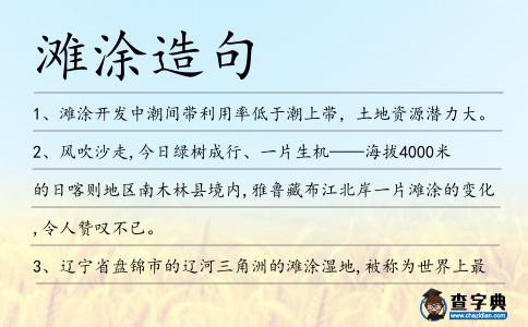 灘涂造句