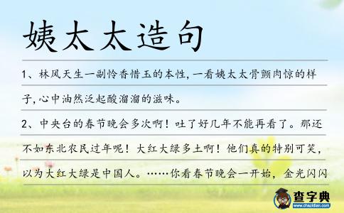 姨太太造句