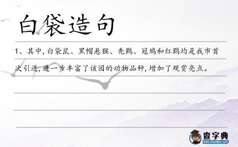 白袋造句