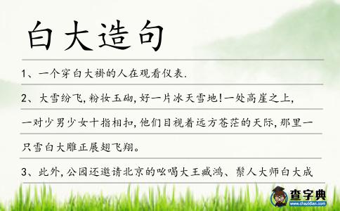 白大造句