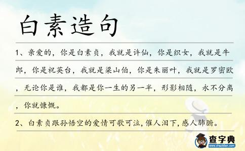 白素造句