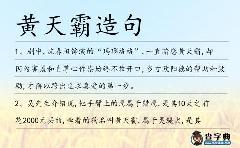 黃天霸造句