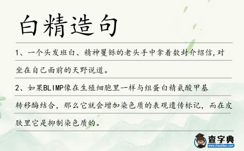 白精造句
