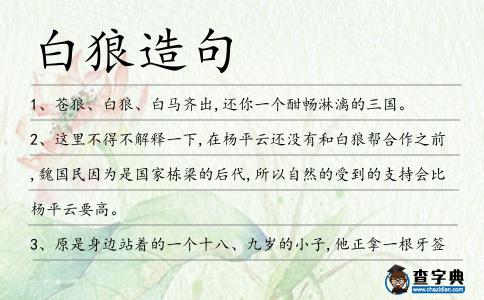 白狼造句