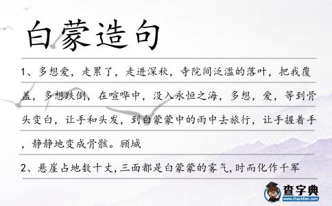 白蒙造句