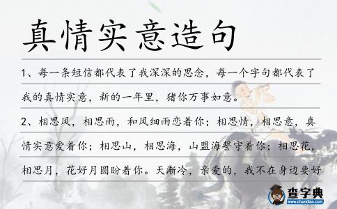 真情實意造句