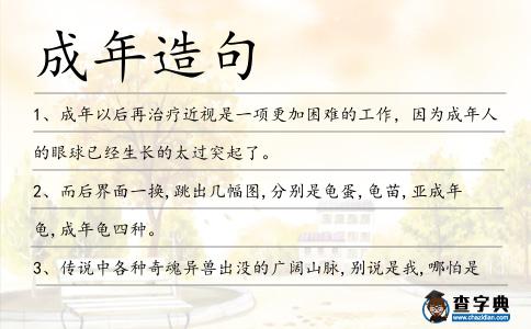 成年造句