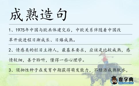 成熟造句