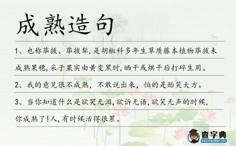 成熟造句