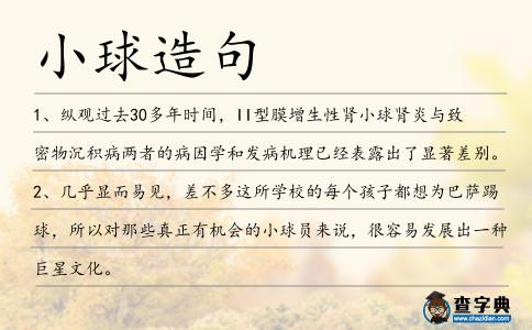 小球造句