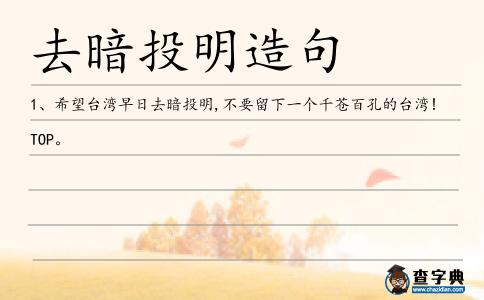去暗投明造句