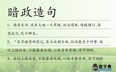 暗政造句