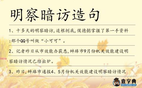 明察暗訪造句