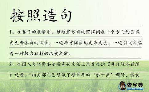 按照造句