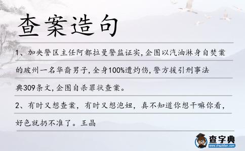 查案造句