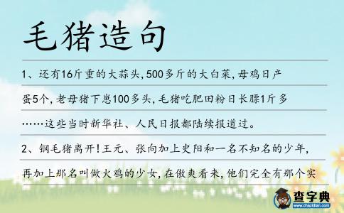 毛豬造句