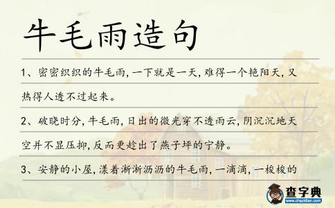 牛毛雨造句