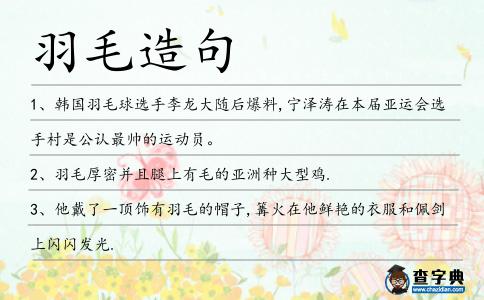 羽毛造句