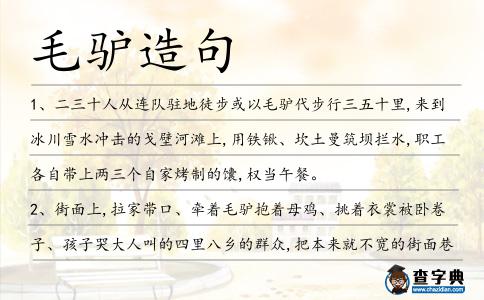毛驢造句