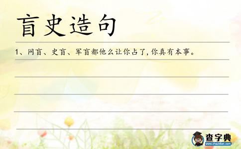 盲史造句