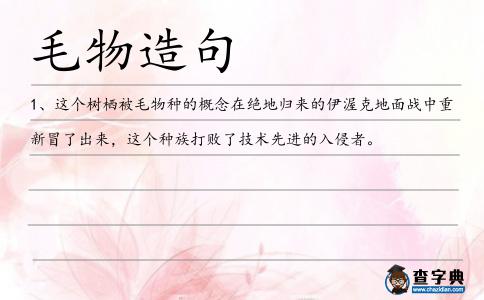 毛物造句