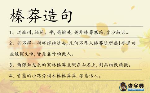 榛莽造句